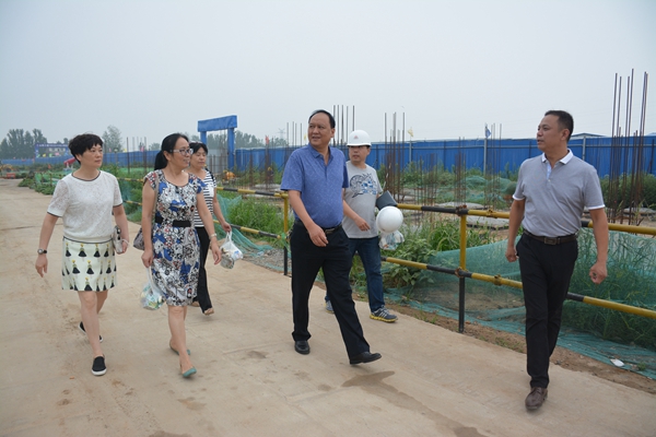 6、《河洛古城》樁基檢測工地工地.jpg